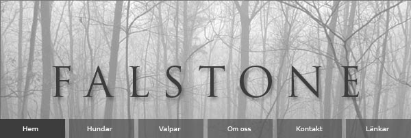 falstone