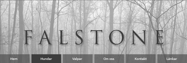 falstone