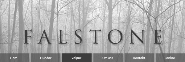 falstone